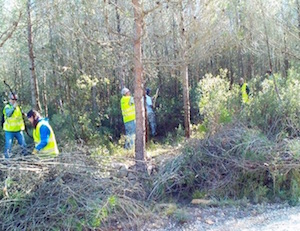 Voluntaris esporgant. Autor: Cercle de Voluntaris