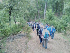 Voluntaris a la jornada. Autor: Cercle de Voluntaris