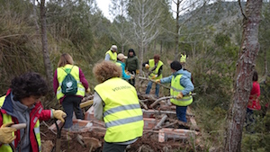 Construint vedrunes al Garraf. Autor: Cercle de Voluntaris