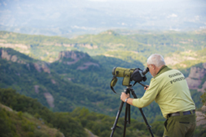 Guarda forestal. Autor: Diba