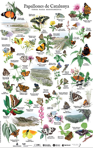 Pòster. Autor: Martí Franch