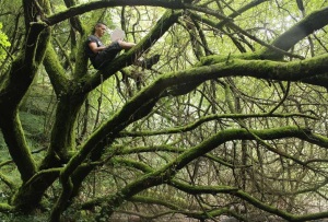 Imatge guanyadora. Autor: Abel Castro Otto