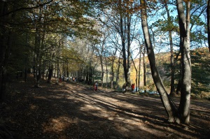 Visitants passejant. Autor: XPN