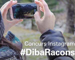 Imatge concurs. Autor: Diba