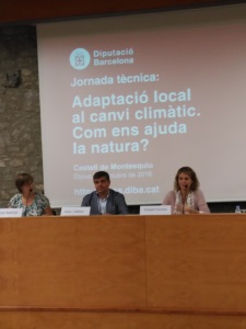 Inauguració de la 2a Jornada. Autor: Formació Diba