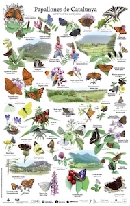 Segon pòster. Autor: Martí Franch