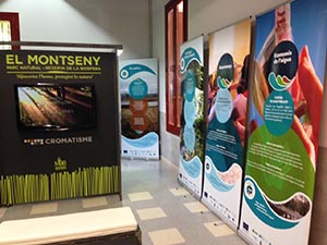 Detall de l'exposició. Autora: Annelies Broekman