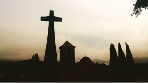 Imatge guanyadora. Autora: Ariadna Puig