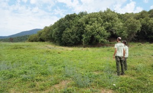 Espai obert. Autor: Diba