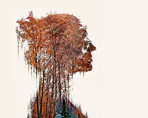 Pla d’igualtat de gènere de la Reserva de la Biosfera del Montseny