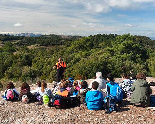 Consells per a les escoles