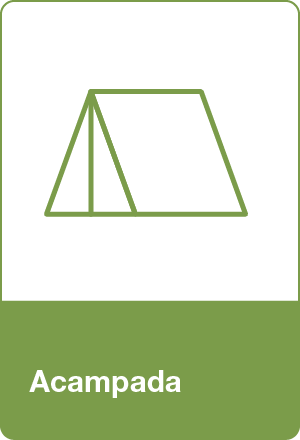 Circulació motoritzada