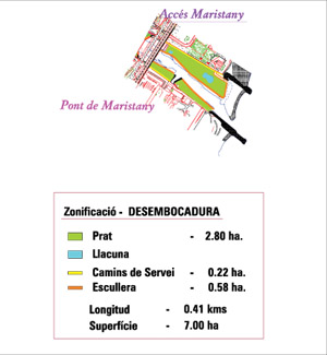 plànol de les zones humides